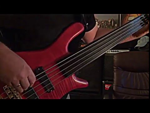 Funky Fretless Bass Guitar - Andy Irvine