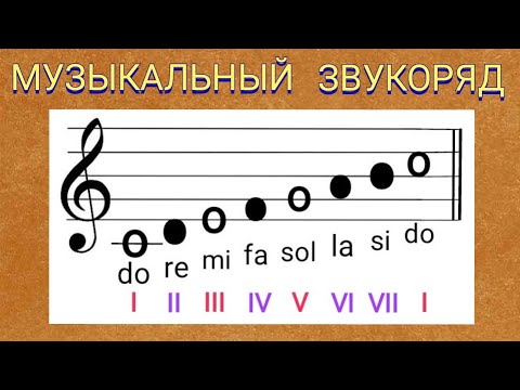 Урок 1. Теория музыки с нуля. Музыкальный звукоряд, звуки, ноты