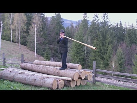 Трембита - самый длинный духовой инструмент в мире (новости)