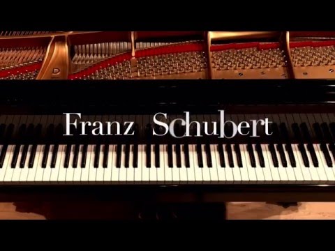 Schubert, Impromptu op. 90, No.2 (Andrei Andreev)