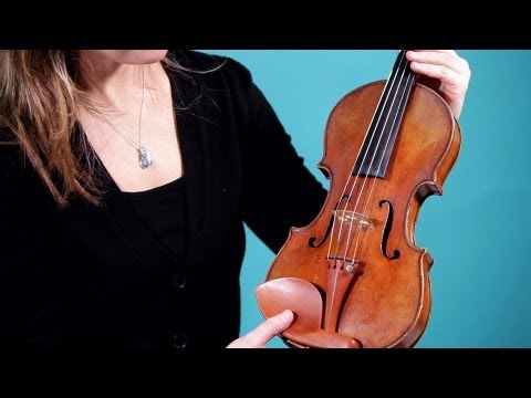 Parts of the Violin &amp; Bow | Violin Lessons
