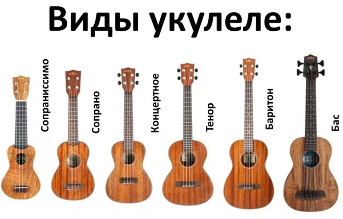 What is the name of the small guitar
