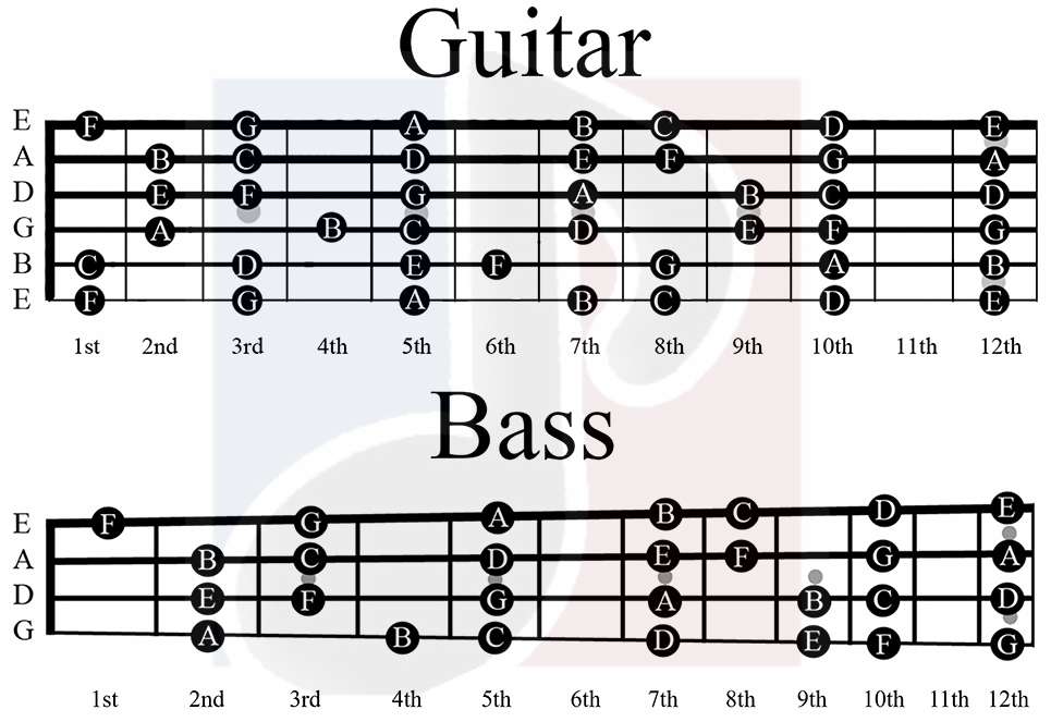 About bass guitar tuning￼