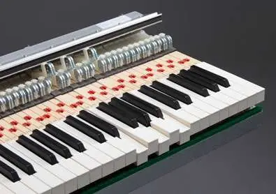 Choosing a Digital Piano with a Hammer Action