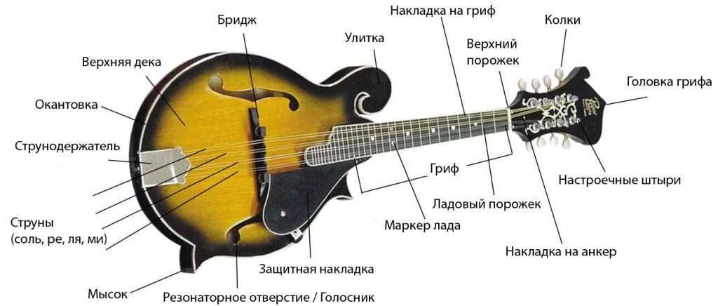 Anatomy-of-aF-Style-Mandolin