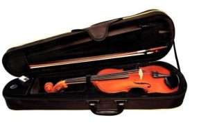 How to choose a violin for a music school