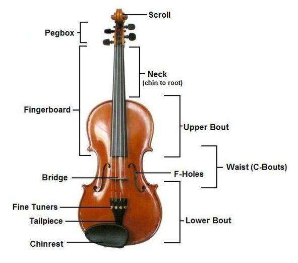 Violin &#8211; musical instrument