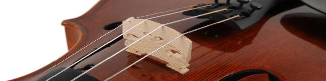 A selection of violin strings for beginners and professionals