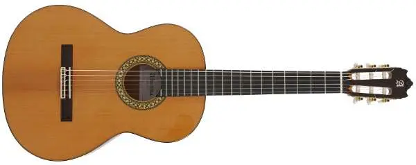 Acoustic guitar and classical guitar