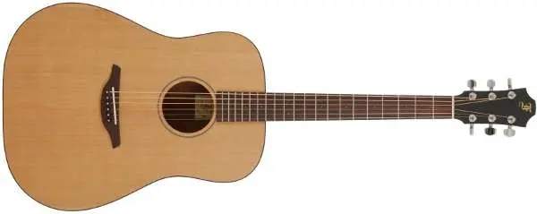 Acoustic guitar and classical guitar