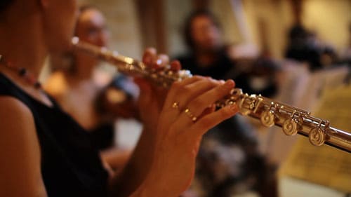 Alto flute: what is it, composition, sound, application