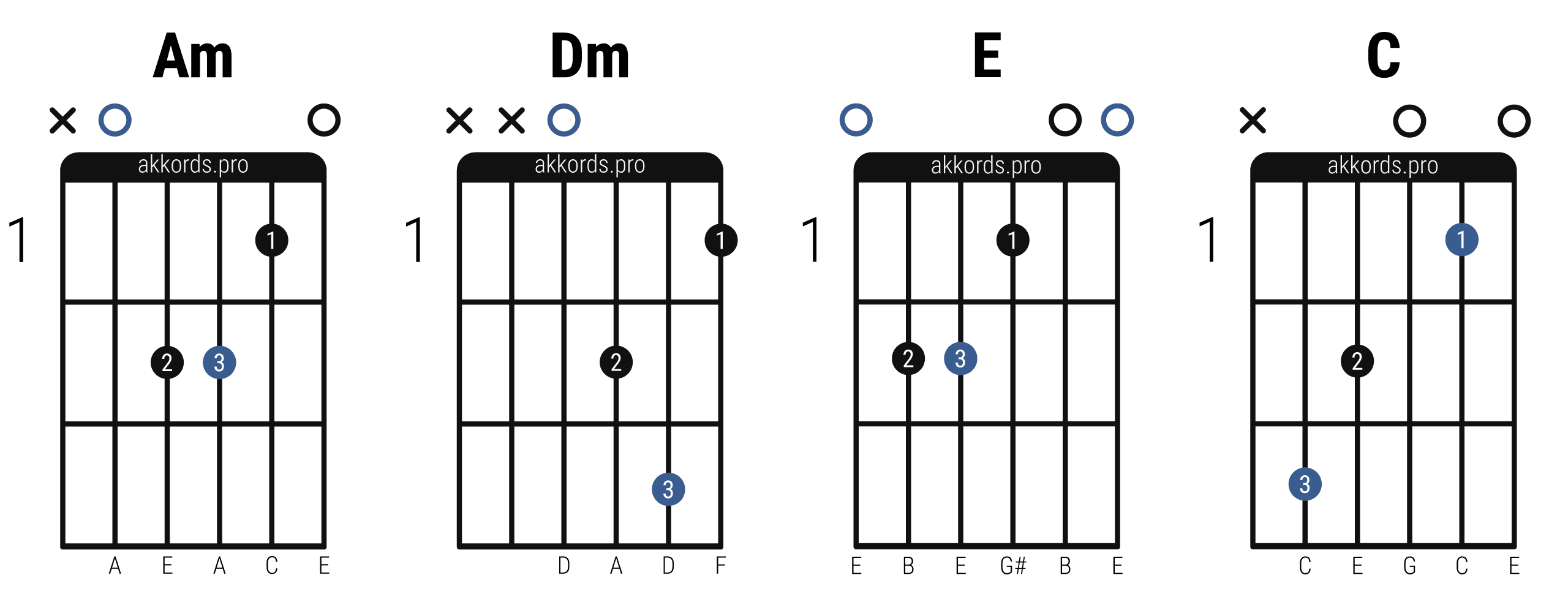 Basic guitar chords for beginners: Am, Dm, E, C