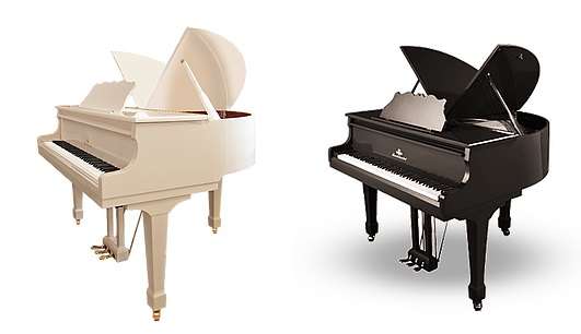 How to choose an acoustic piano (royal)?