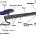 Bass guitar: what it is, how it sounds, history, types, how to choose