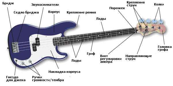 Bass guitar: what it is, how it sounds, history, types, how to choose