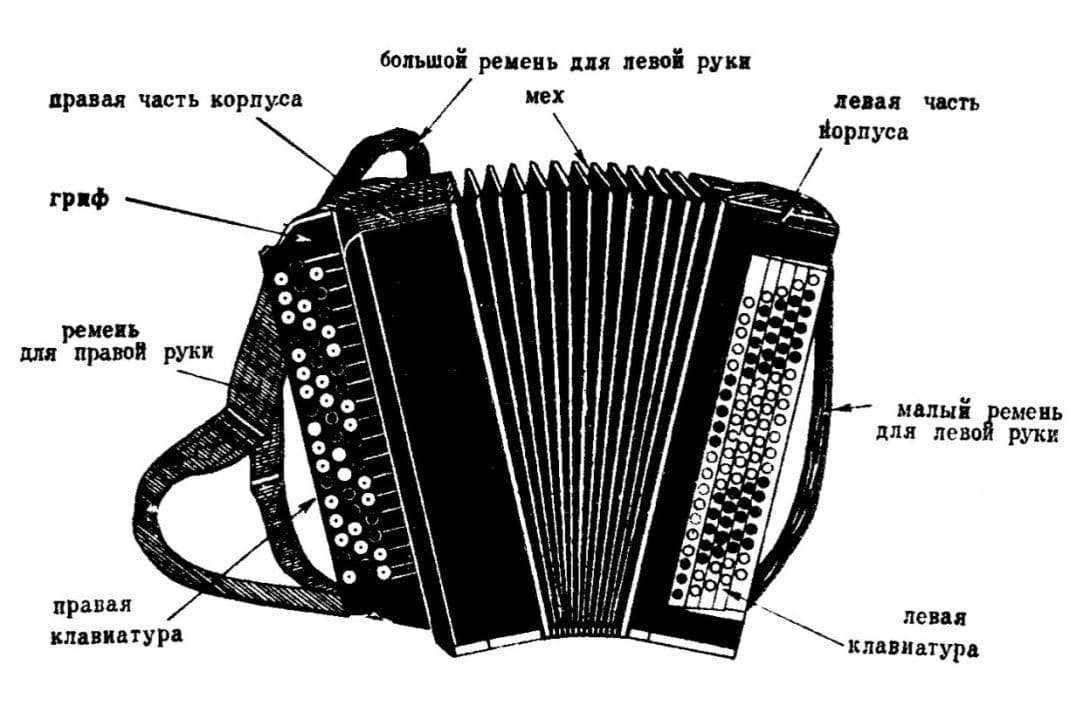 Bayan: what is it, instrument composition, sound, history, types, use