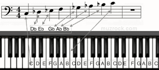 How flat notes are displayed on a piano bass clef staff
