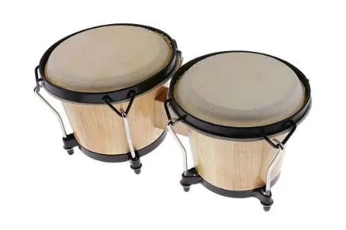 Bongo: description of the instrument, design, history of origin, use