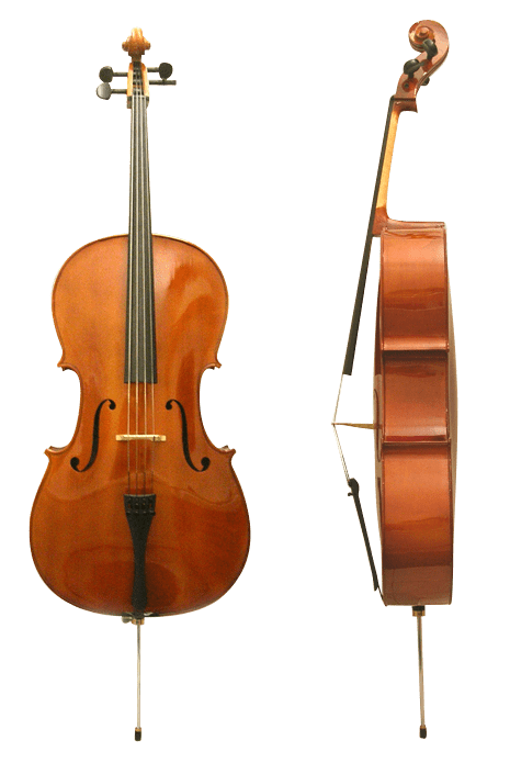 Cello: description of the instrument, structure, sound, history, playing technique, use