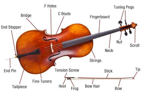 Cello &#8211; Musical Instrument