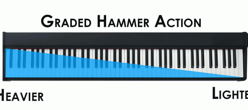 Hammer Action бүхий дижитал төгөлдөр хуур сонгох