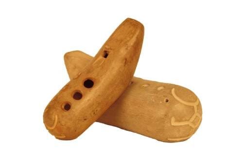 Chopo-kuoro: instrumentin rakenne, soundi, soittotekniikka, käyttö