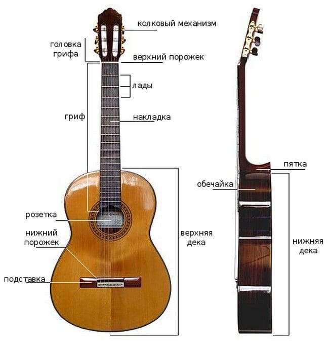 Classical guitar: instrument composition, history, types, how to choose and tune