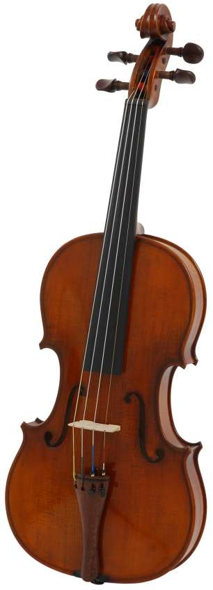 Classical or electric violin - which instrument is better for me?