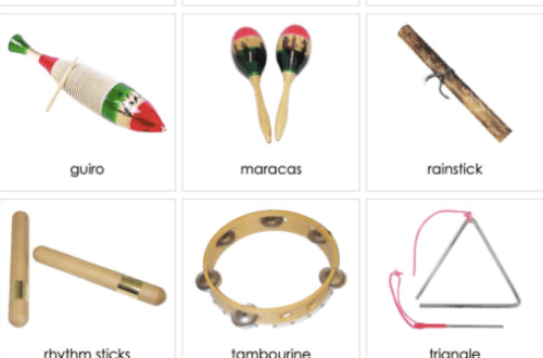 Classification of percussion instruments. What are percussion instruments?