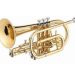 Cornet: description of the instrument, composition, sound, history, use