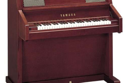 Czelesta र Harpsichord – ध्वनिक किबोर्ड उपकरणको लागि अर्को विचार