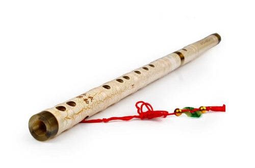 Ditzy: soittimen koostumus, alkuperähistoria, käyttö