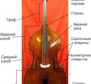 Kontrabasso: soittimen kuvaus, sävellys, historia, ääni, käyttö