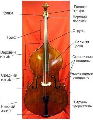 Контрабас: опис на инструментот, композиција, историја, звук, употреба