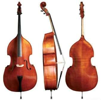 Double bass: description of the instrument, composition, history, sound, use
