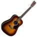 Dreadnought (guitar): design features of the instrument, sound, use