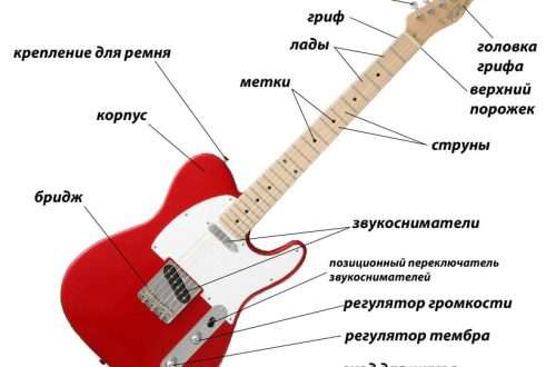 इलेक्ट्रिक गिटार: संरचना, सञ्चालनको सिद्धान्त, इतिहास, प्रकार, बजाउने प्रविधि, प्रयोग