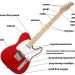 इलेक्ट्रिक गिटार: संरचना, सञ्चालनको सिद्धान्त, इतिहास, प्रकार, बजाउने प्रविधि, प्रयोग
