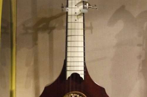 English guitar: instrument design, history, use