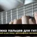 Formateurs de guitare. Une sélection d'entraîneurs de guitare populaires avec une description détaillée