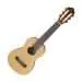 Gitalele: what is it, instrument composition, history, sound, use