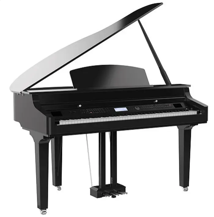 Choosing a Digital Piano with a Hammer Action