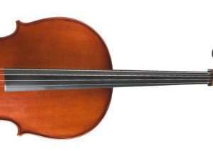 Cello fretboard