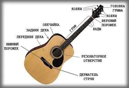 Guitar Structure - What is a guitar made of?