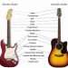 Guitar Structure &#8211; What is a guitar made of?