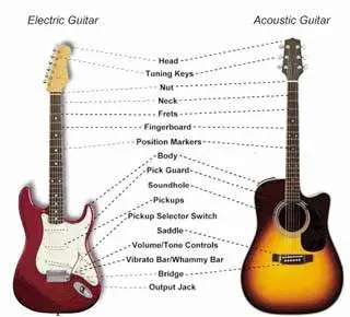 Struttura della chitarra: di cosa è fatta una chitarra?