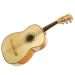 Гитаррон: зэмсгийн дизайн, акустик гитараас ялгаа, хэрэглээ