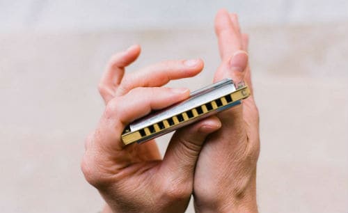 Harmonica: instrument composition, history, types, playing technique, how to choose