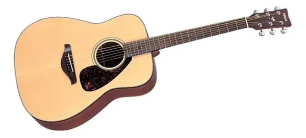 How to choose an acoustic guitar. Tips for beginner guitarists.