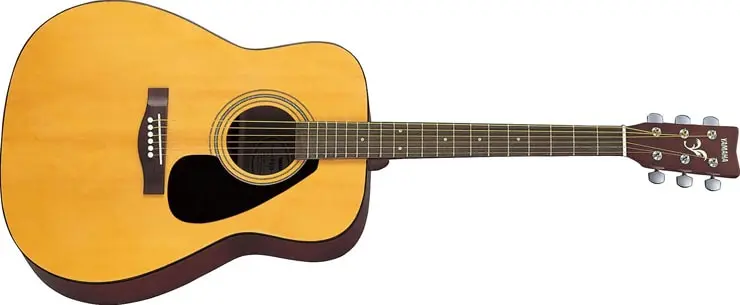 How to choose an acoustic guitar. Tips for beginner guitarists.